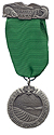 Type IIA Silver Medal